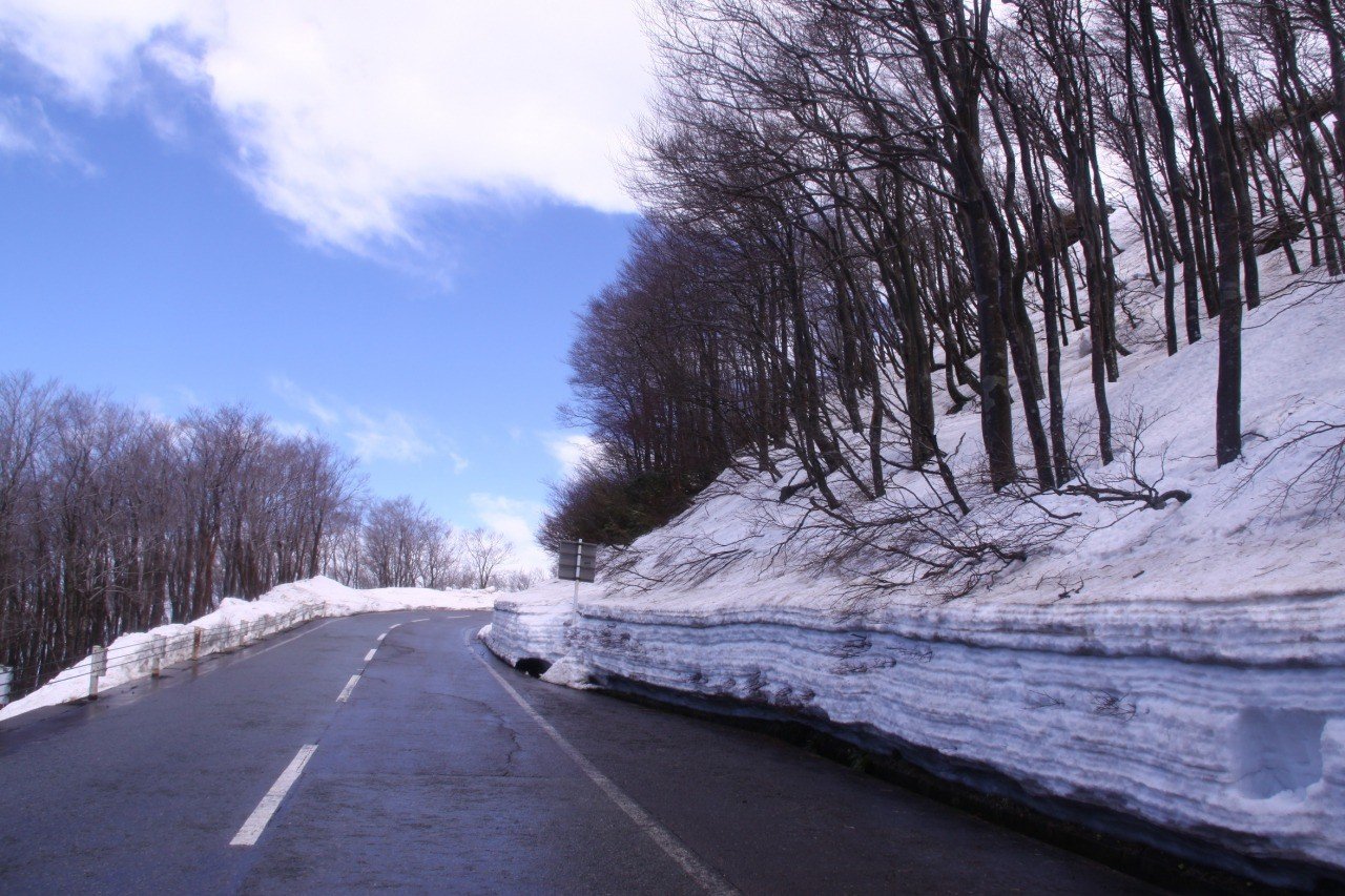 🏞️ 조카이산 호코타테 전망대 이미지 5